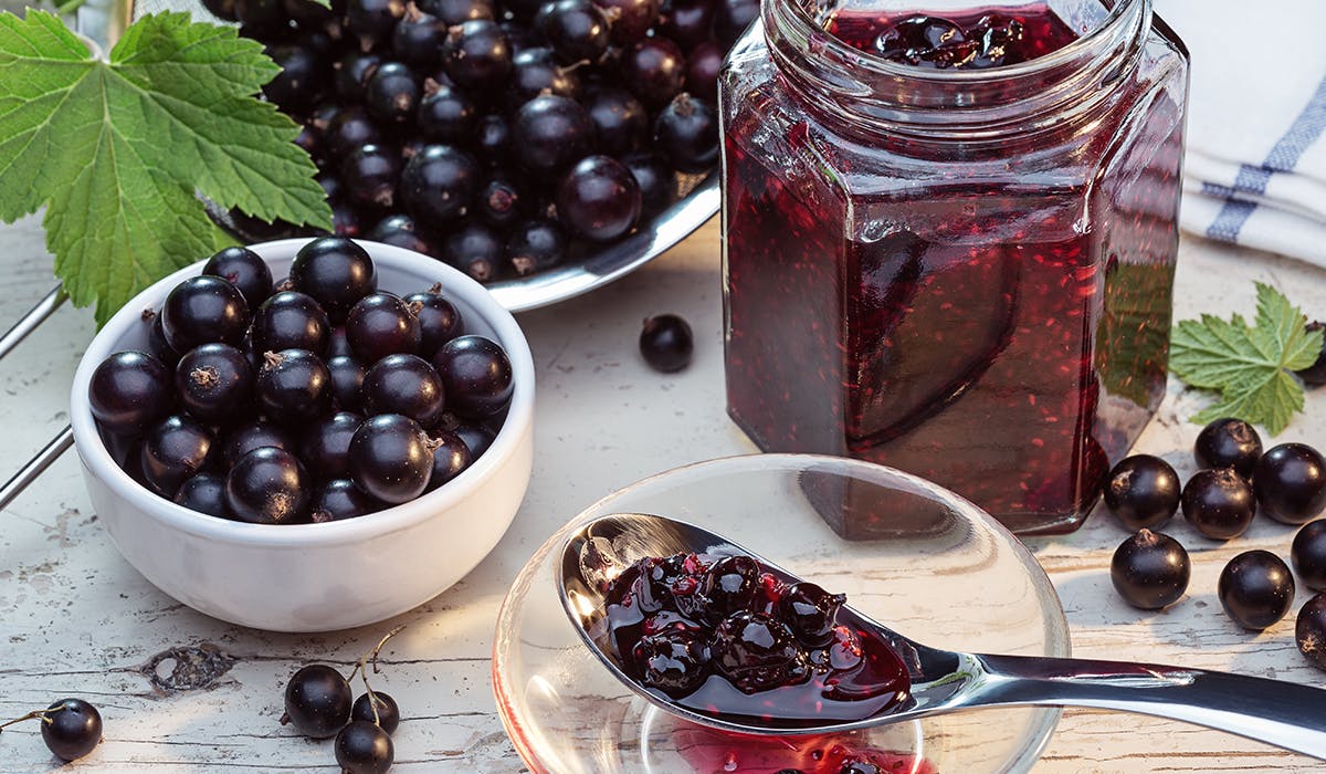 How to make blackcurrant jam Wellbeing Yours